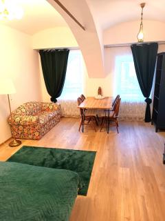Apartments Romantic and Family Room Zemlinski - Payerbach - 7