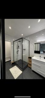 Grand appartement Roanne centre - Roanne - 7