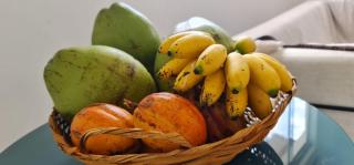 Loft com piscina natural em Cachoeiras de Macacu - 9