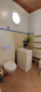 Les hirondelles de L'Embisque - 3