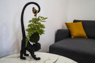 A-More apartment - 1