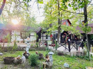 Agropensiunea La Prisaca - 3