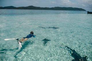 Tranquilseas Eco Lodge & Dive Center - 8
