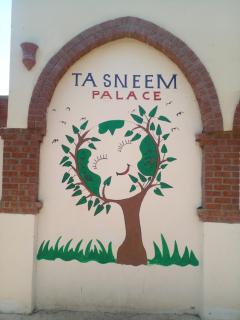 Tasneem Palace - Luxor - 9