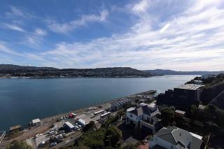 Brand New Lush Studio Apartment close to airport - Wellington - 8
