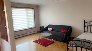Montreal One-Bedroom Apartment Number2 with shared-bathroom and shared kitchen - 8