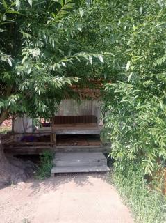 House by Lake Balykchy - Balykchy - 6