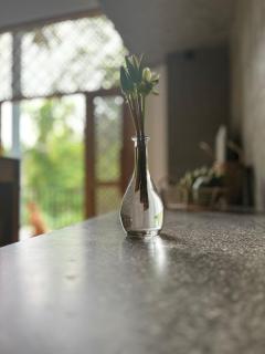 Hibiscus house read - Matara - 0