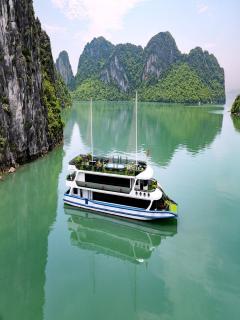 Du thuyền 3 sao - Thăm vịnh Hạ Long DAILY - Bể sục - Buffet - MAI - Ha Long - 0