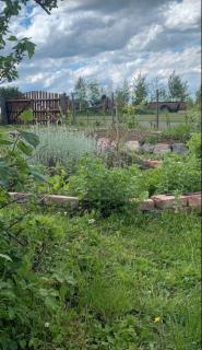 Hannahs Place - - 3