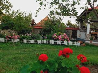 Vandam rental house - Gabala - 9