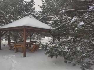 Drozdowe Gniazdo - 4