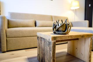 Smart Resorts Haus Brilliant Ferienwohnung 606 - Winterberg - 5