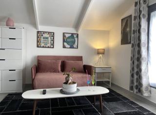 Trendy studio - Le perchoir Tassin - Tassin-la-Demi-Lune - 1