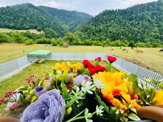 Buddy House Borjomi - Bordzjomi - 1