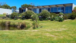 Pelican Point Sanctuary - St Helens - 8