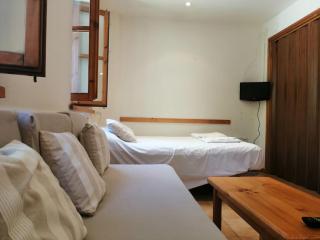 Estudio luminoso para estancia larga en la Vall de Boí - Pla de l'Ermita - 6