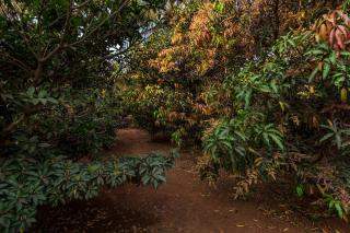 CosmicStays Grey Stone Villa Mountain & Dam View - 1