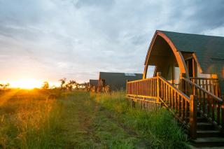 Serengeti Ark Safari Lodge - Kogatende - Parque Nacional Serengeti - 9