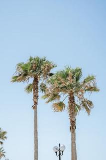 8 Min walk to Harbour - Chania - 2