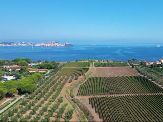 Sunset House - ArgonautiVacanze - Portoferraio - 5