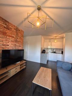 BoleslaviaApartments - Apartament Arte 4, parking free, EV - Bolesławiec - 4