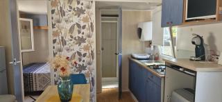 Chez Ando - Saint-Ciers-sur-Gironde - 6