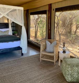 Sausage Tree Safari Camp - Balule Game Reserve - 8