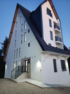 Studio Planinski san Divčibare - Divčibare - 4