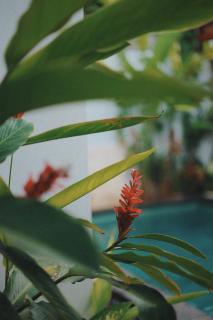 The Soul Series, Salt water pool, Large baths - 9