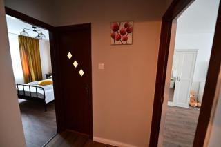 FLH - Apartament Damar Sibiu - Sibiu - 5