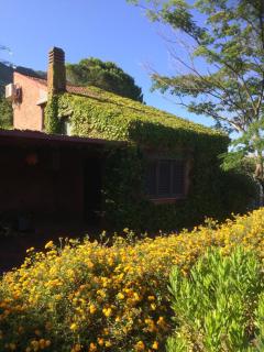 Cottage - 2