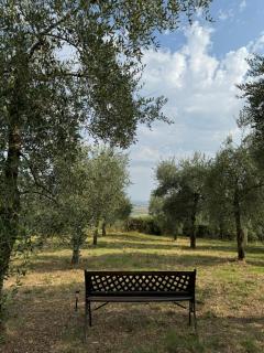B&B Podere Cottimellino - Montalcino - Val d'Orcia - Montalcino - 9