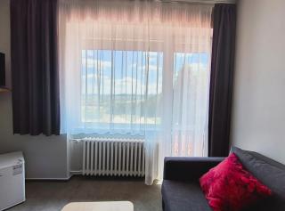 Hotel Salaš - Šenov u Nového Jičína - 9