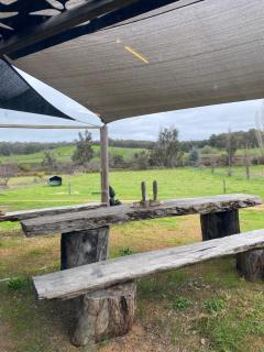 Wild Fig Cosy Farmstay Cottage - 4