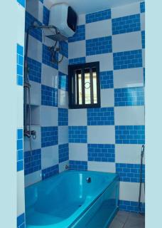 Lavanni suit - Jidu - 4