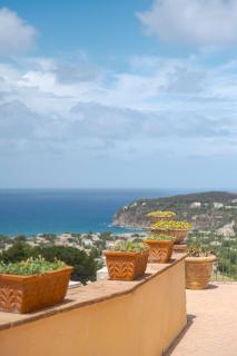 Poggio Del Sole - Ischia - 8