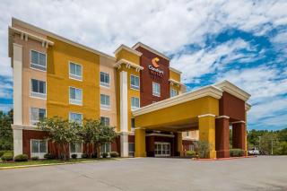 Comfort Suites Denham Springs - 8