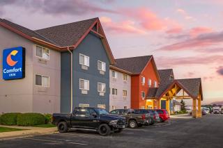 Comfort Inn - Albert Lea - 5