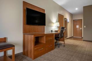 Comfort Suites Hotel and Conference Center - Berlin - 4