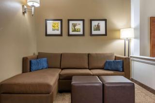 Comfort Suites Hotel and Conference Center - Berlin - 3