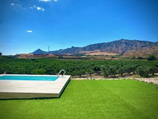 Paraje Natural, 6 habitaciones, piscina, 1800m2, cesped - 8