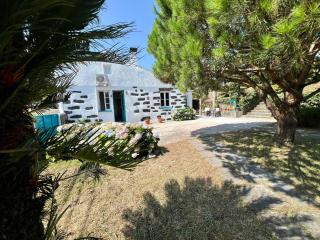 AZ Solar Cottage and Secret Garden - 5