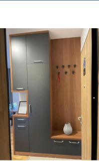 Apartman Žaxtef Wellness&Spa u ceni - Zlatibor - 6