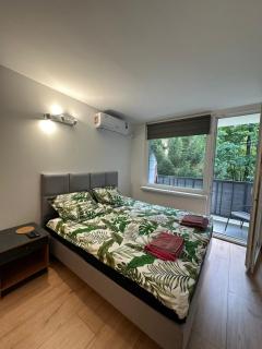 Apartament 221 przy Niedźwiadku - 1