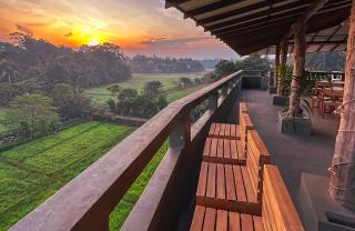 Ceylon's House - Hikkaduwa - 0