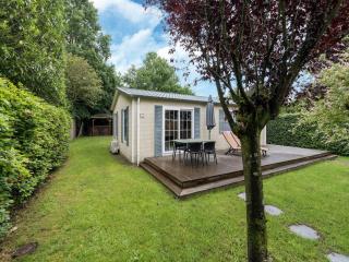 Luxury chalet in Stegeren, beautiful surroundings - Stegeren - 4
