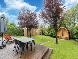 Luxury chalet in Stegeren, beautiful surroundings - Stegeren - 5