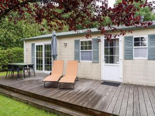 Luxury chalet in Stegeren, beautiful surroundings - Stegeren - 3