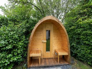 Luxury chalet in Stegeren, beautiful surroundings - Stegeren - 6